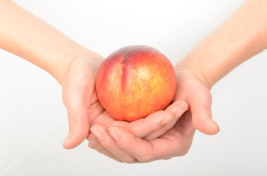 Şeftali üzerinde denetime sahip değildir