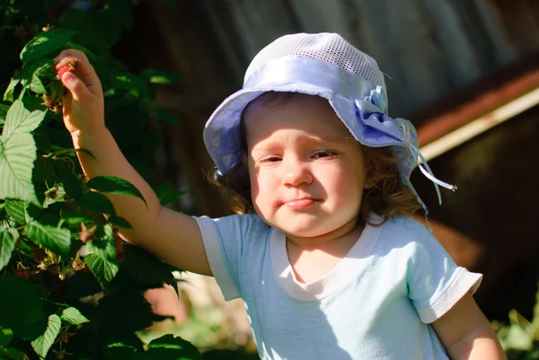 아이는 정원에서 딸기를 먹습니다 로열티 프리 스톡 사진