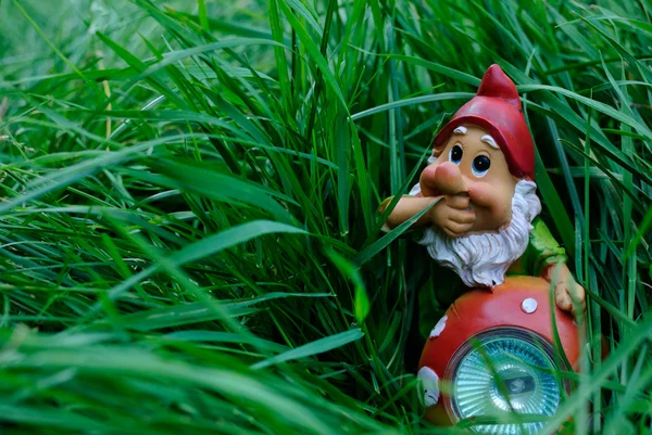 A GNOME-ot a fűben Jogdíjmentes Stock Fotók