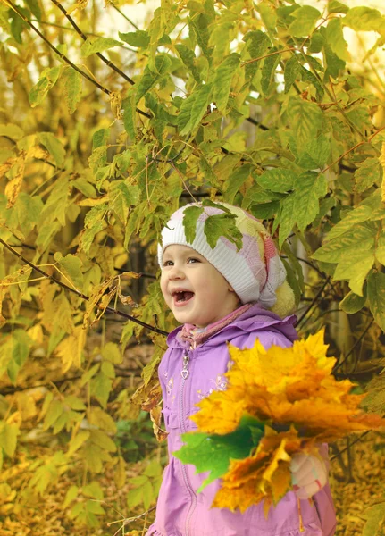 The child in the autumn wood — Stock Photo, Image