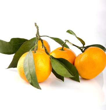 mandalina yaprakları ile