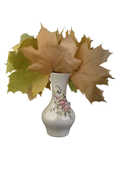 Porseleinen vaas met bladeren Stockafbeelding
