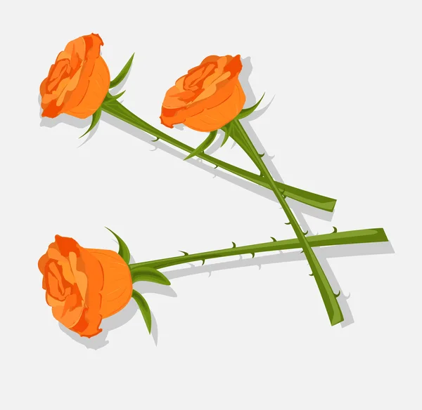 Three orange roses on a white background — Stock Vector