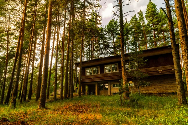 Puesta de sol en el bosque con casas de madera en el fondo Imágenes de stock libres de derechos