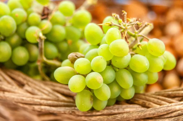 Druiven in de basket.grapevine over wijngaard achtergrond Stockfoto