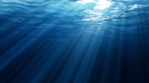 Подводный мир — стоковое видео