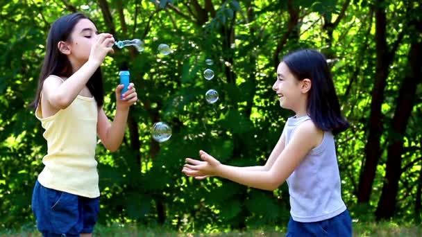 Little girl blowing soap bubbles — Stock Video