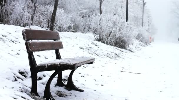 Panca coperta di ghiaccio — Video Stock