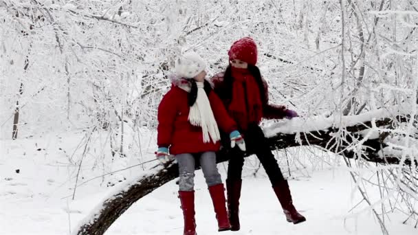 Tjejer pratar på ett träd i vinter skog — Stockvideo