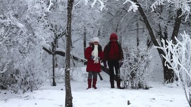 Happy girls jumping in the snow — Stok Video