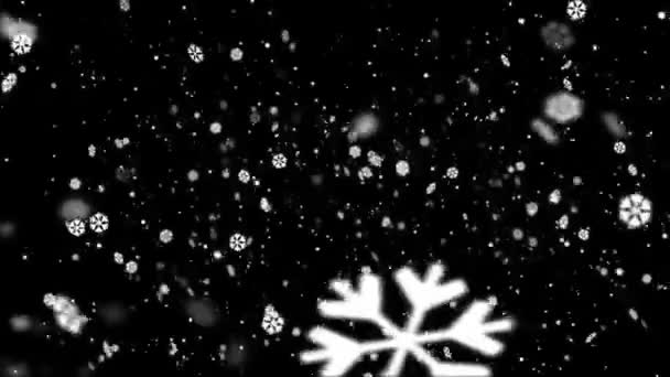 Snow Flakes Background — Stock Video