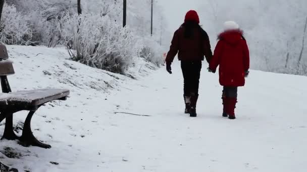 Děti chůze ve sněhu — Stock video