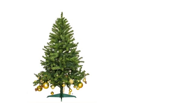 Kerstboom animatie — Stockvideo