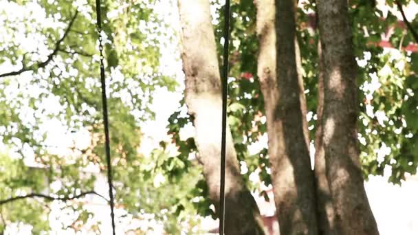 Маленькая девочка качается в летнем парке — стоковое видео