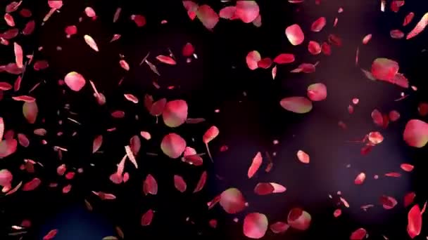 Красные Лепестки Роз Летают Красивом Черном Фоне День Святого Валентина — стоковое видео