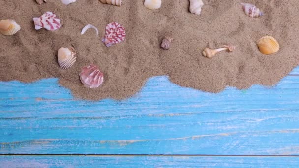 Schelpen Het Zand Een Blauwe Achtergrond Zomervakantie Strand Ontspanning Zee — Stockvideo