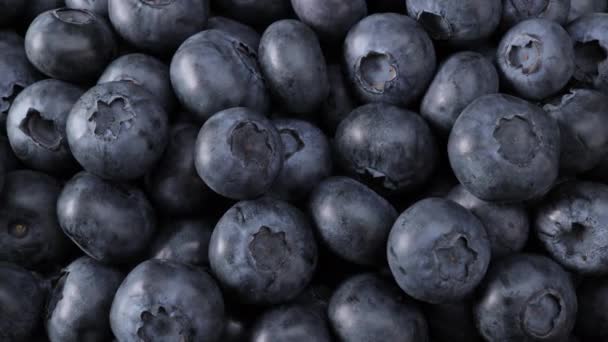 Frische Sommerliche Saftige Früchte Aus Blaubeeren Für Eine Gesunde Ernährung — Stockvideo