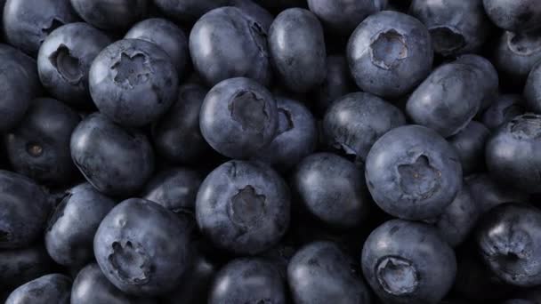 Fresh Blueberry Summer Juicy Fruits Healthy Diet Organic Blueberries Healthy — Wideo stockowe
