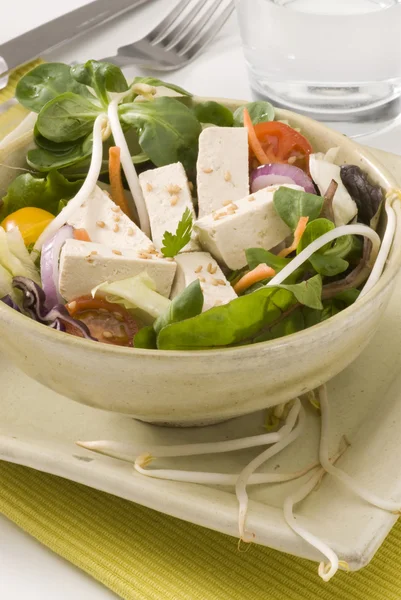 Tofu salad. — Stock Photo, Image