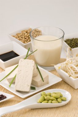 soya ürünleri
