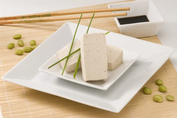 Tofu. Soy Products. — 图库照片