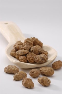 Kaplan Kuruyemiş.