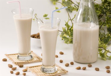 Kaplan fındık süt. horchata de chufa.
