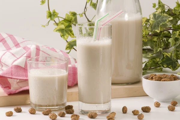 Kaplan fındık süt. horchata de chufa. — Stok fotoğraf