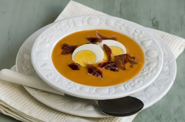 스페인어 cuisune입니다. salmorejo. — 스톡 사진