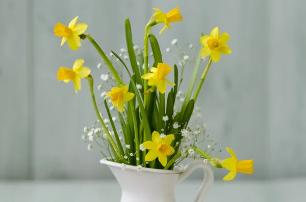 Narcissus. Floral arrangement. — Stock Photo, Image