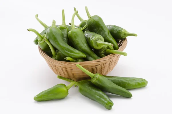 Grön paprika. pimientos del padron. — Stockfoto