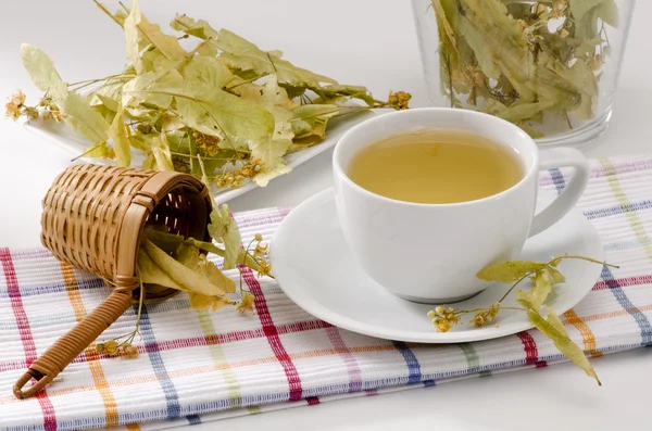 Cytryna drzewo herbata ziołowa — Zdjęcie stockowe