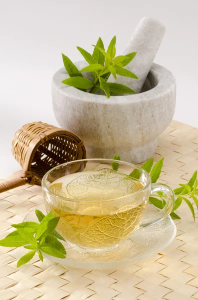 Lemon verbena herbal tea — Stock Photo, Image