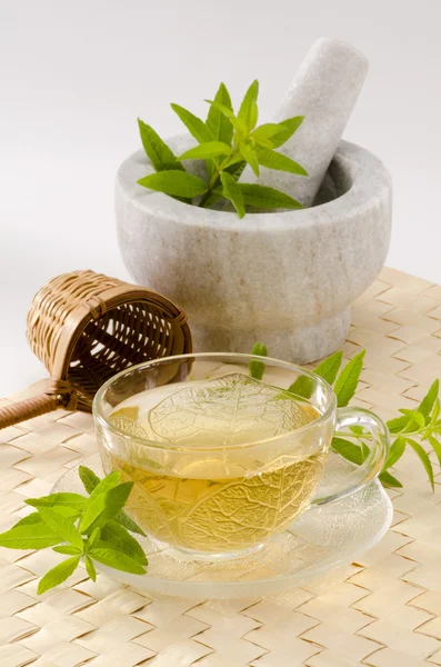 Lemon verbena tisana — Foto Stock