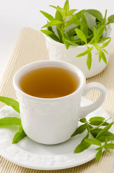 Лемон вербена травяной чай — стоковое фото