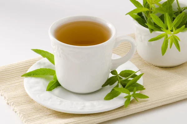 Té de hierbas de verbena limón — Foto de Stock