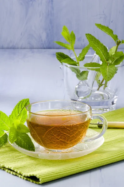Βότανα τσάι μέντας — Φωτογραφία Αρχείου