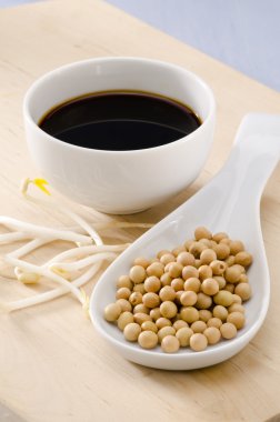 soya sosu