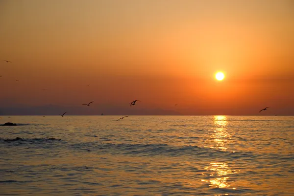 Coucher de soleil mer en Crimée — Photo
