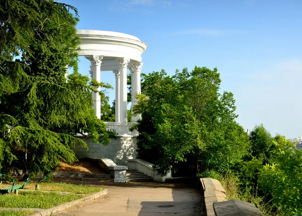 Sivastopol bir parkta güzel ağaç dikme