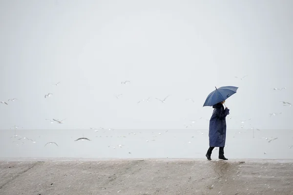 下雨天 免版税图库图片