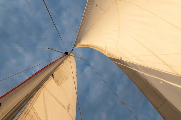 Sailing in the wind through the waves.