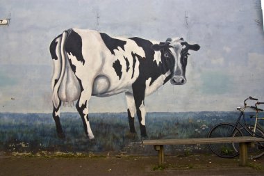 bir inek Hollandalı bir evin duvarında