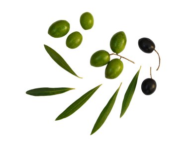Natürmort zeytinli