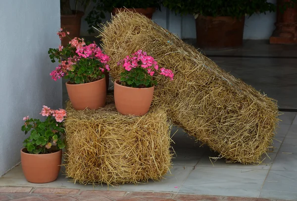 Flowers and straw bales — Stock Photo, Image