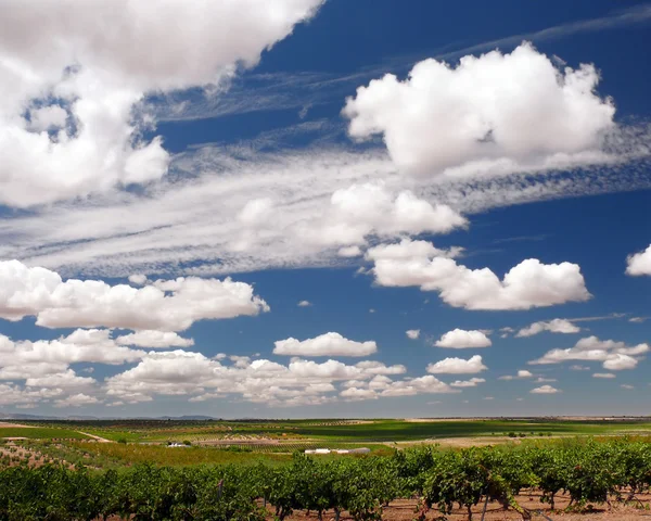 Gewassen en wolken — Stockfoto