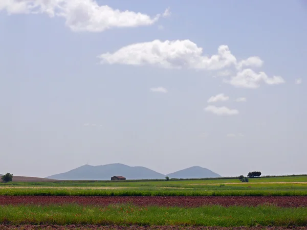 Landscape with a house — Stock Photo, Image