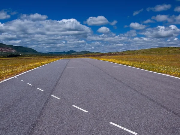 Highway cut (horizontal) — Stock Photo, Image