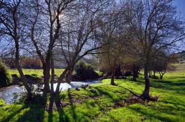 backlighting landscape