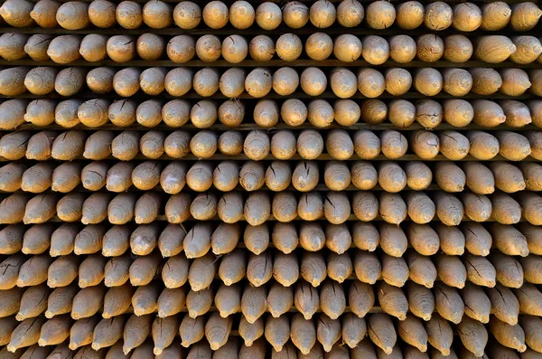 Pila de palos puntiagudos —  Fotos de Stock